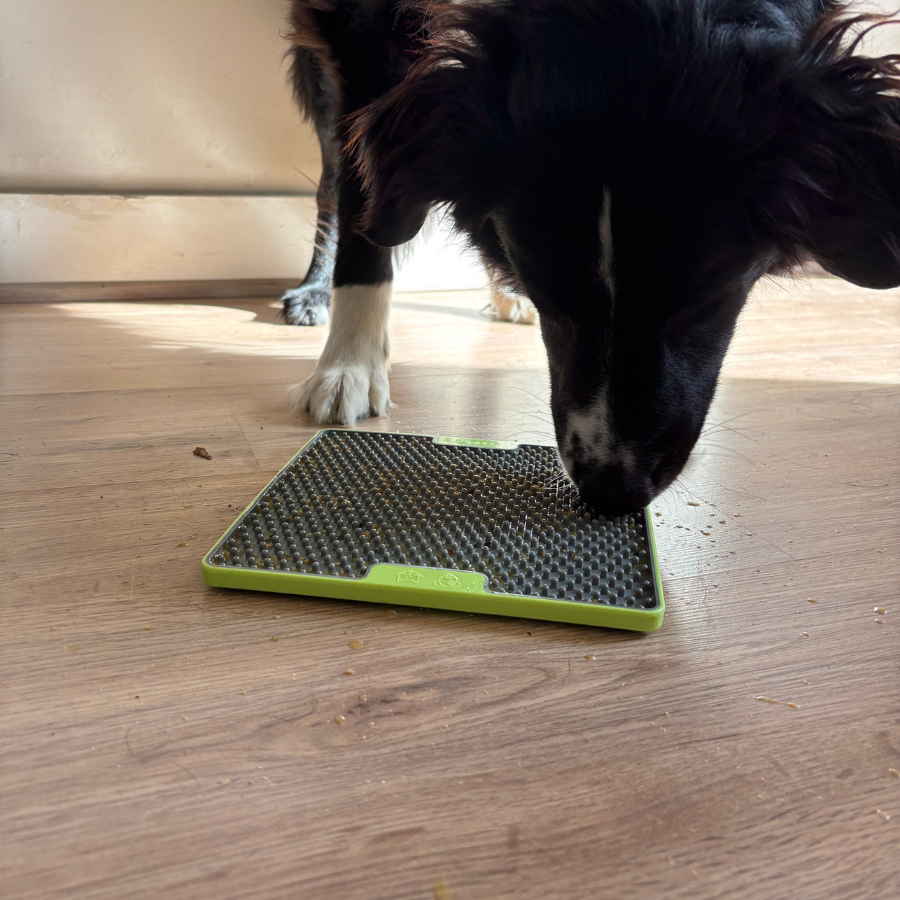 LickiMat Tuff – Le tapis de lèche résistant